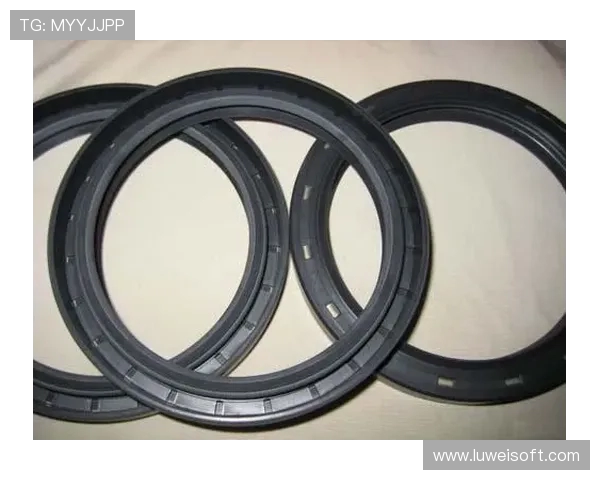 挖掘机主阀块逻辑孔盖密封