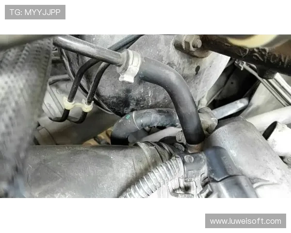 挖掘机喷油嘴积碳清洗